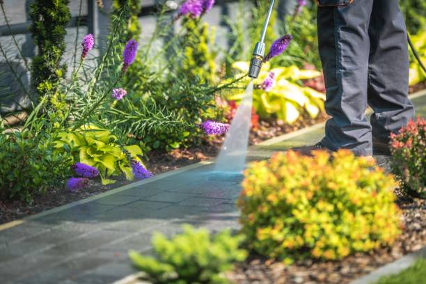 Best Restaurant Pressure Washing  in Dayton, TX
