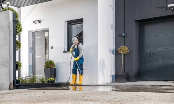 Best Soft Washing  in Dayton, TX